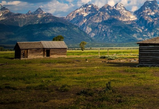 粉象生活邀请码
