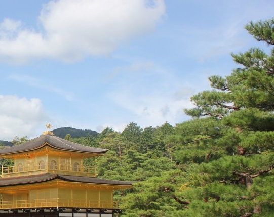 粉象生活是个什么东西