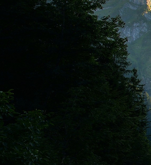 粉象生活有多少app的返利