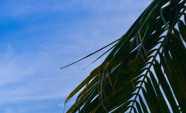 如何在粉象生活赚钱