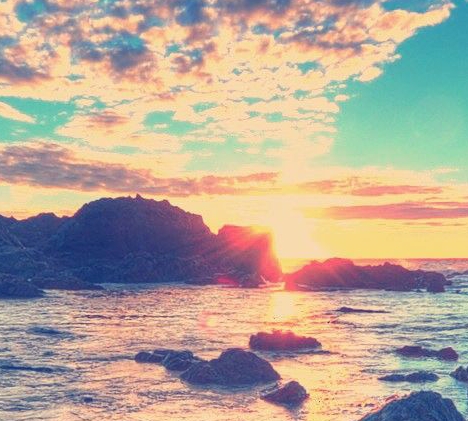 粉象生活随机发货