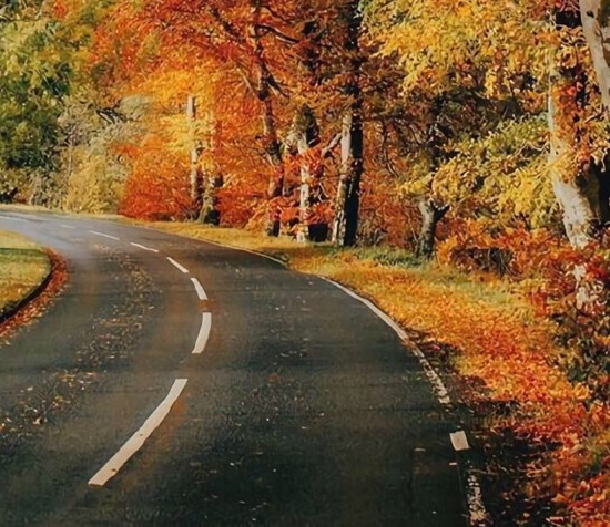 如何重新注册粉象生活