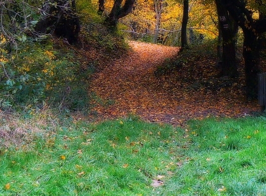 粉象生活怎么解绑淘宝账号