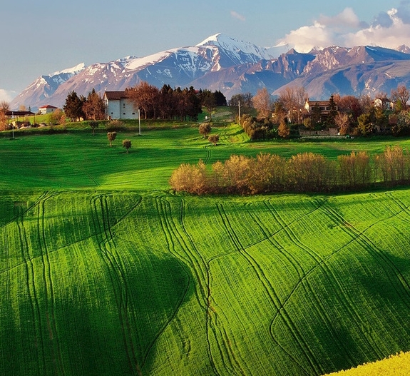 粉象生活哪个平台优惠大