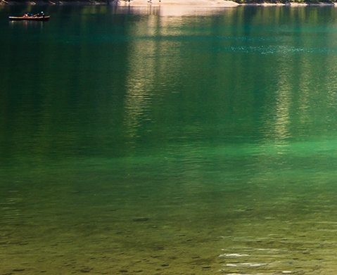 漳州粉象生活佣金