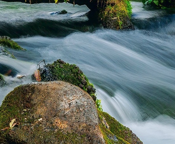 粉象生活粉丝怎么增加