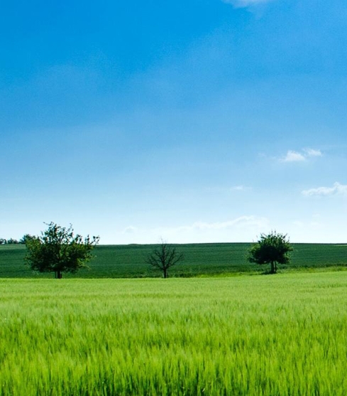 粉象生活怎么样做引流