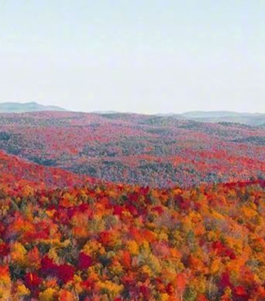 粉象生活怎么注册新号