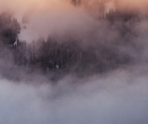 粉象生活app官网