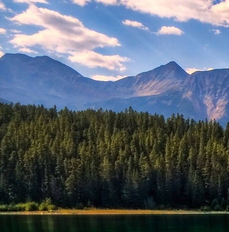 荆州粉象生活vip