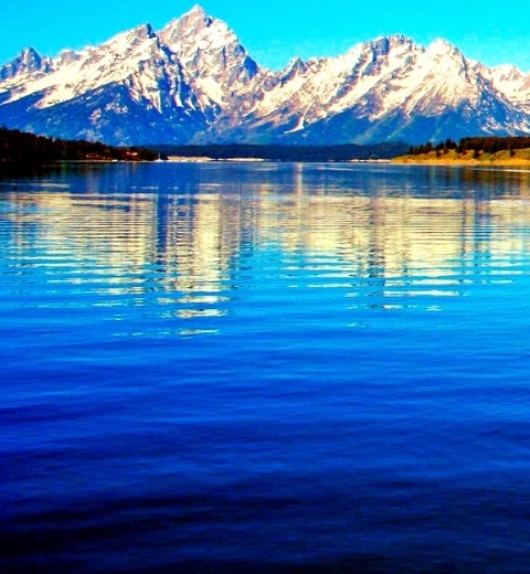 揭阳粉象生活推广