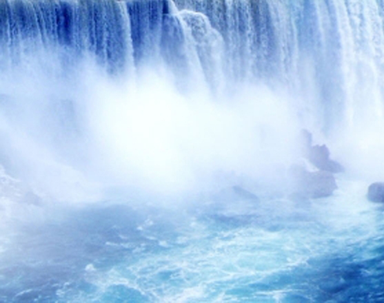 粉象生活怎么返利