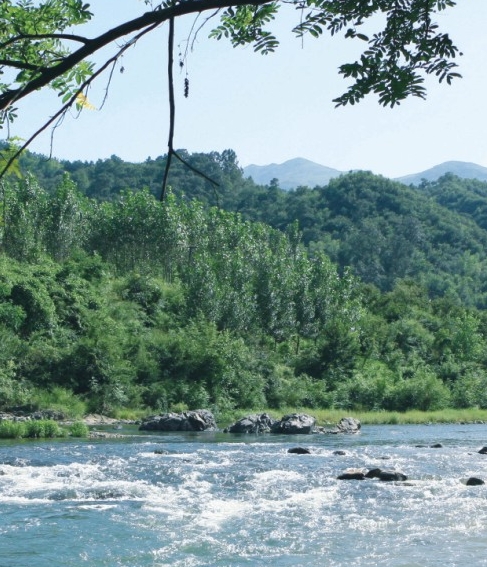 粉象生活推广人怎么收费