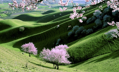 粉象生活怎么做团队