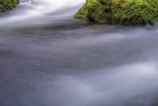 粉象生活app共享