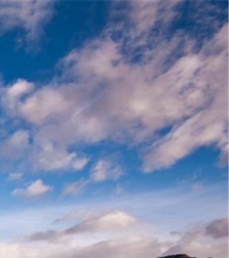 粉象生活邀请码