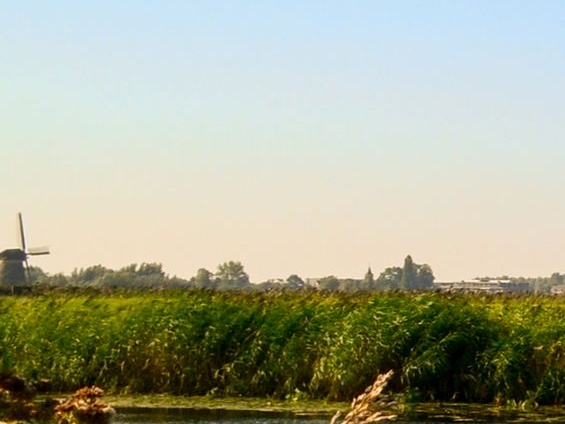 粉象生活最低消费多少