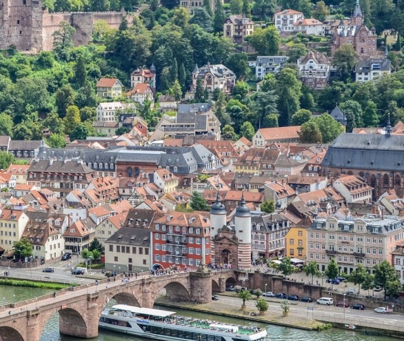 粉象生活的手机怎么下载