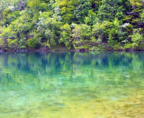 粉象生活怎么联系邀请人