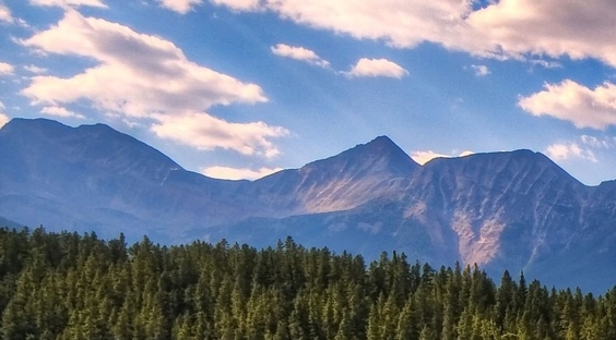 粉象生活开通会员有什么用