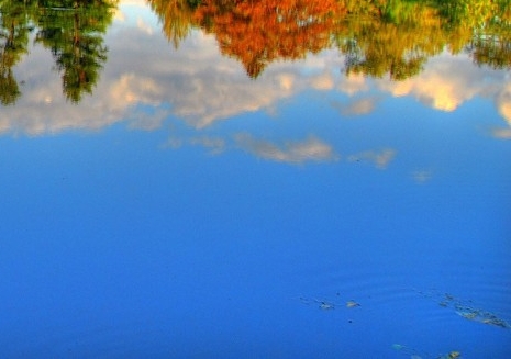 粉象生活能赚到钱吗