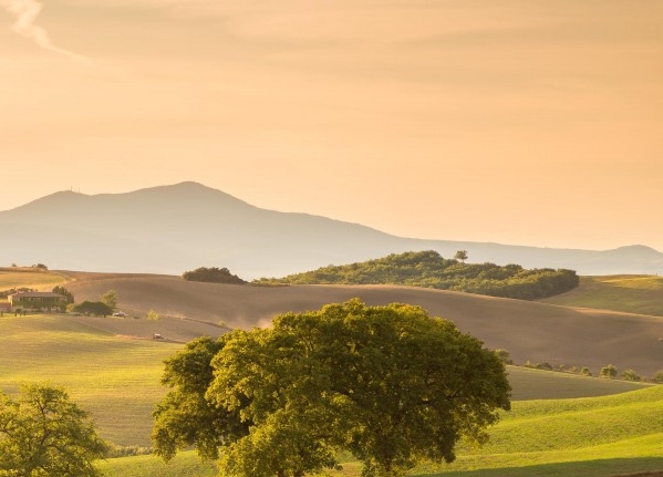 怎么把商品放到淘宝上去卖