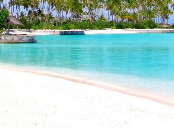 完美的生活行动派