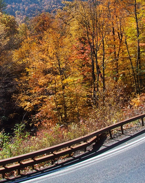 粉象生活真的能领优惠券吗