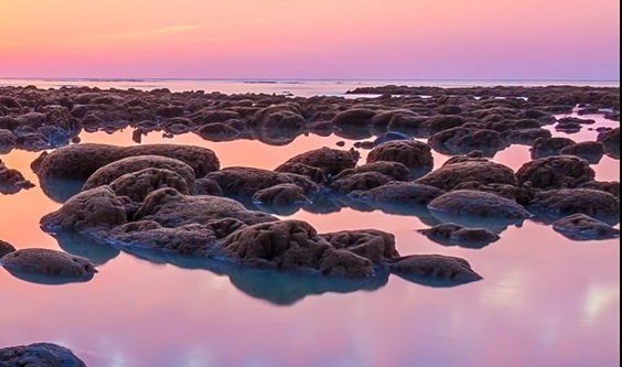 粉象生活抽奖记录