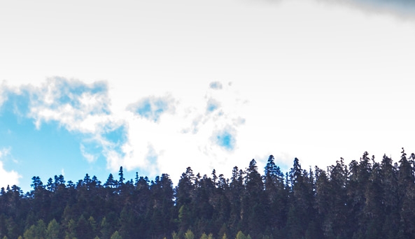 粉象生活推广是真的吗