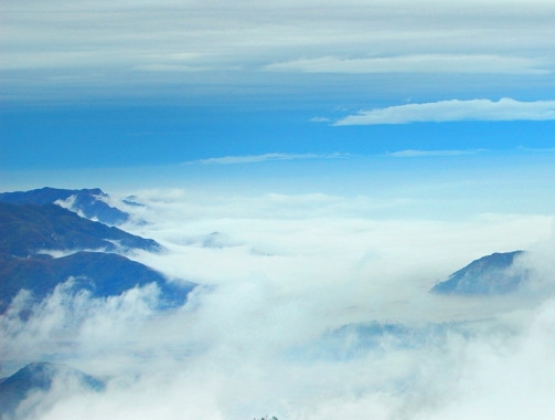 濮阳最低生活标准