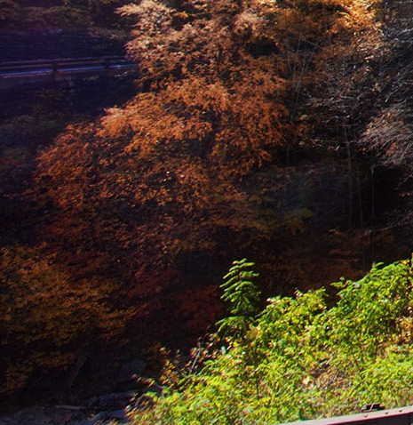 粉象生活升级可以退吗