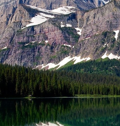 粉象生活自营质量