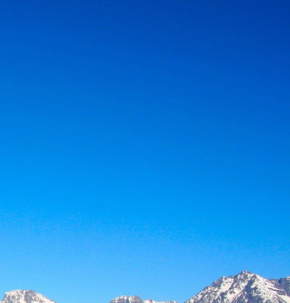 粉象生活真实收入