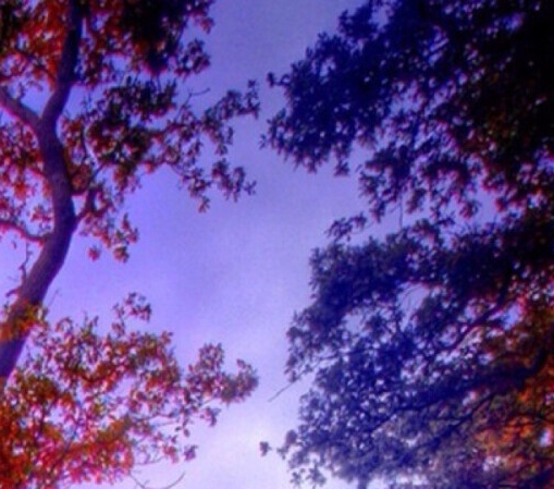 粉象生活怎么注册新号