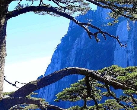 荆州本地生活网