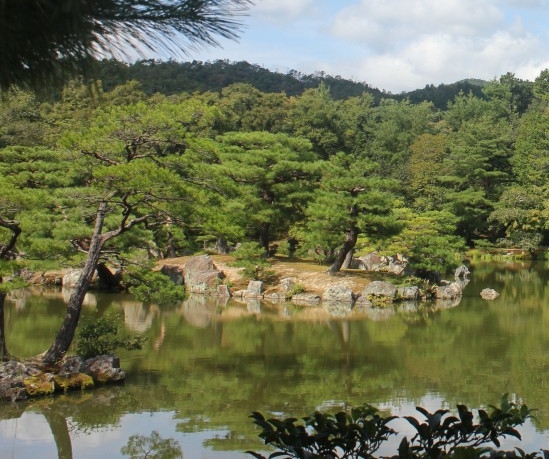 粉象生活开店步骤