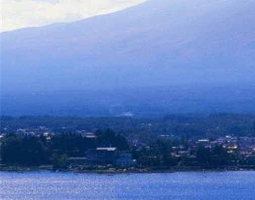 粉象生活怎么登录