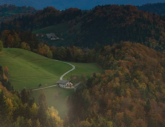 广东口碑好的粉象生活推广