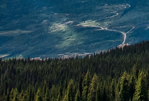 湖北高端粉象生活软件