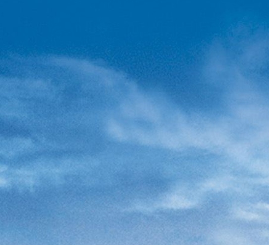 粉象生活能赚到钱吗