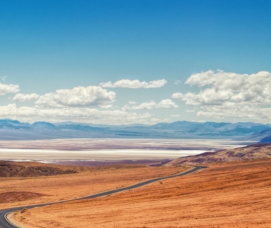 关于粉象生活的新闻