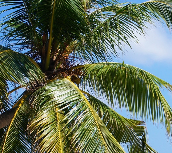 宿迁笑九喜早餐车加盟电话