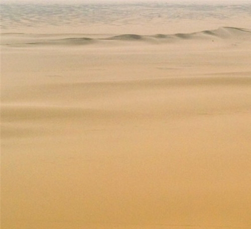 粉象生活官网首页