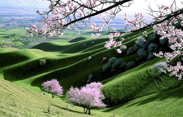 粉象生活能赚到钱吗