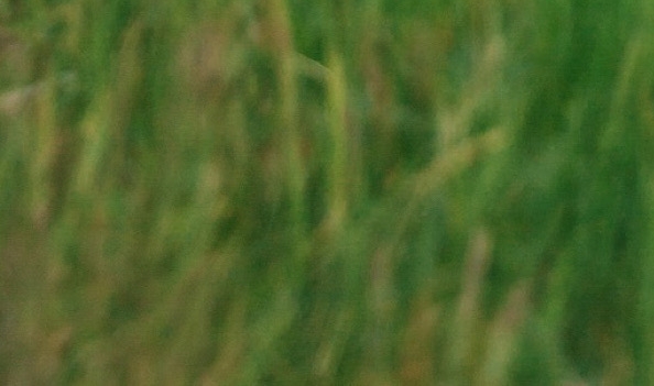 粉像生活 粉象生活