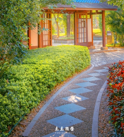 粉象生活哪里找券