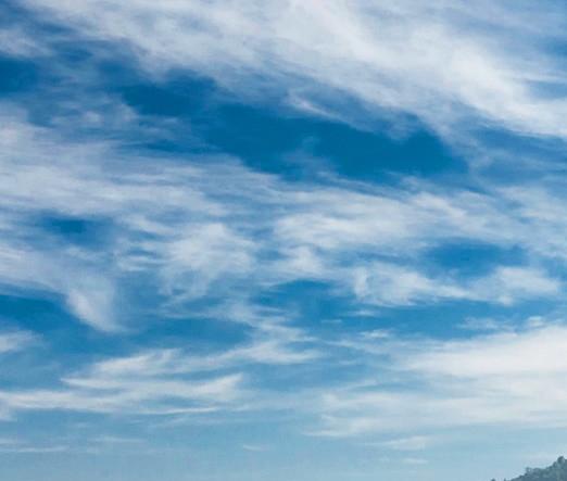 粉象生活受邀佣金