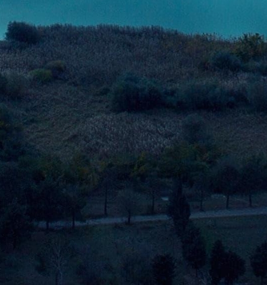 粉象生活的提现是真的吗