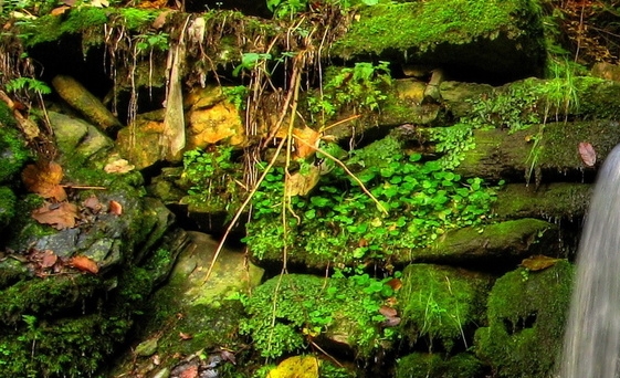 你们是怎么推广粉象的
